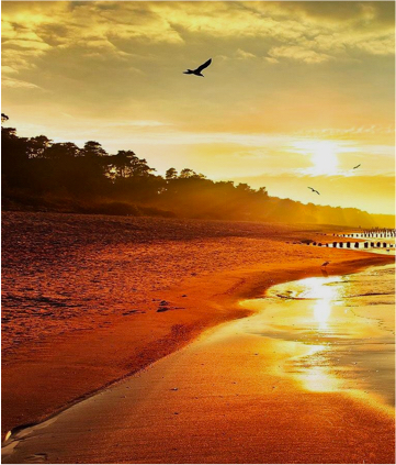 <span> Travel Preparation</span><br />
Packing<br/> Guides