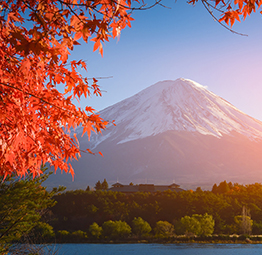 Banner destination.jpg